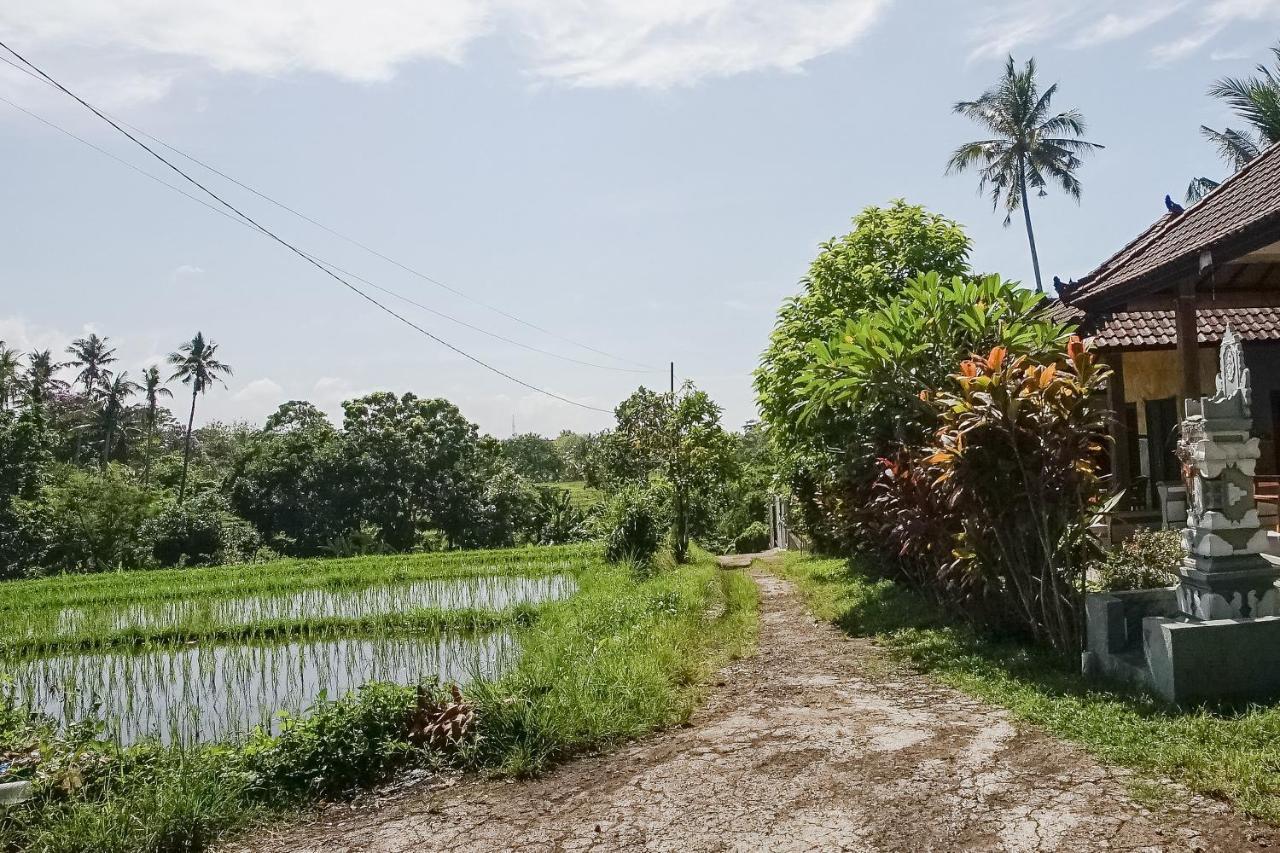Mejan Home Stay Balian Exterior photo